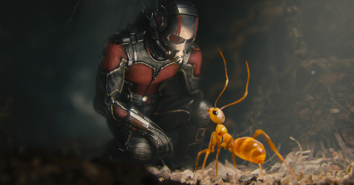 ant-man osserva con affetto una formica - nerdface