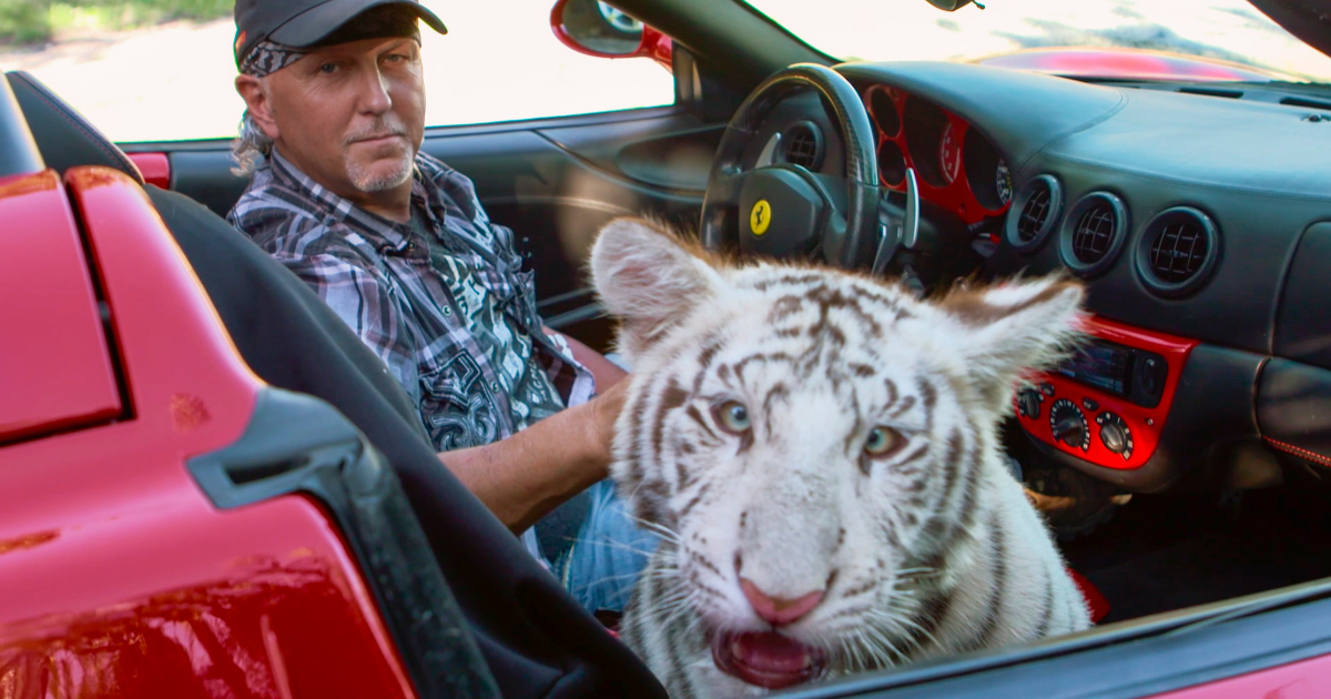 joe exotic è sulla sua ferrari e sul sedile del passeggero c'è una tigre bianca - nerdface