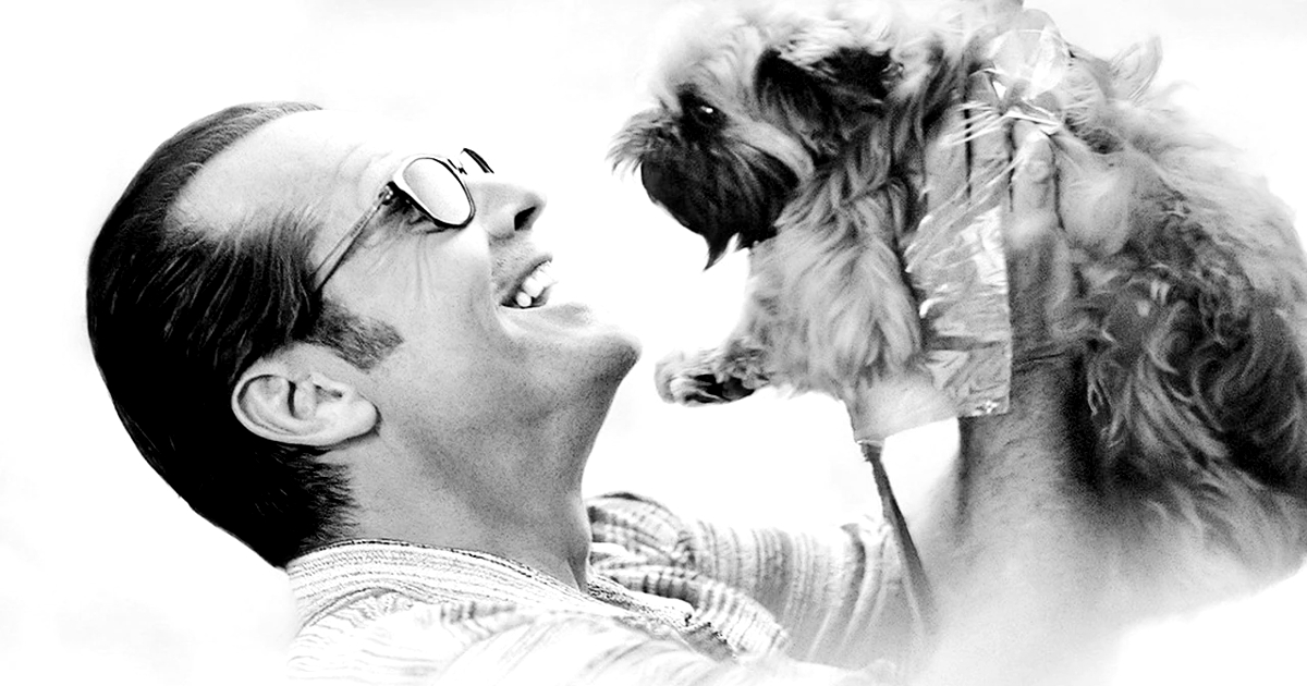 jack nicholson sorride a un cagnolino in qualcosa è cambiato - nerdface