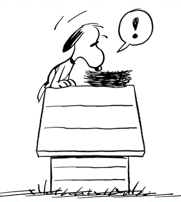 appside-Peanuts-01 snoopy osserrva un nido sulla sua cuccia in una striscia dei peanuts - nerdface