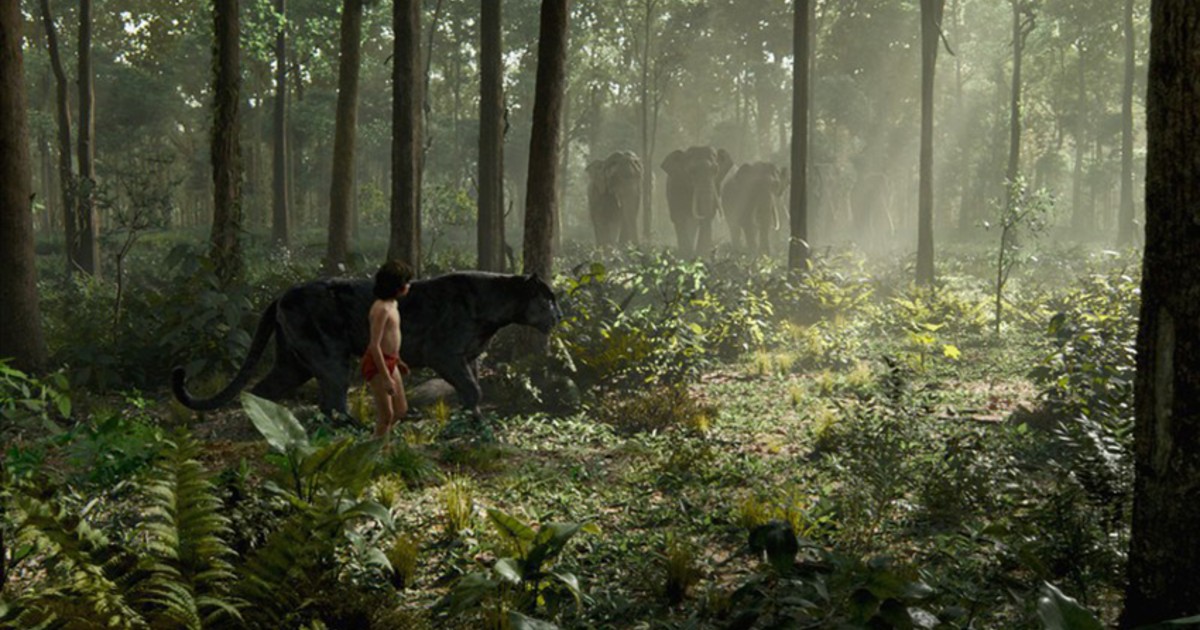 mowgli e bagheera sono nella giungla - nerdface