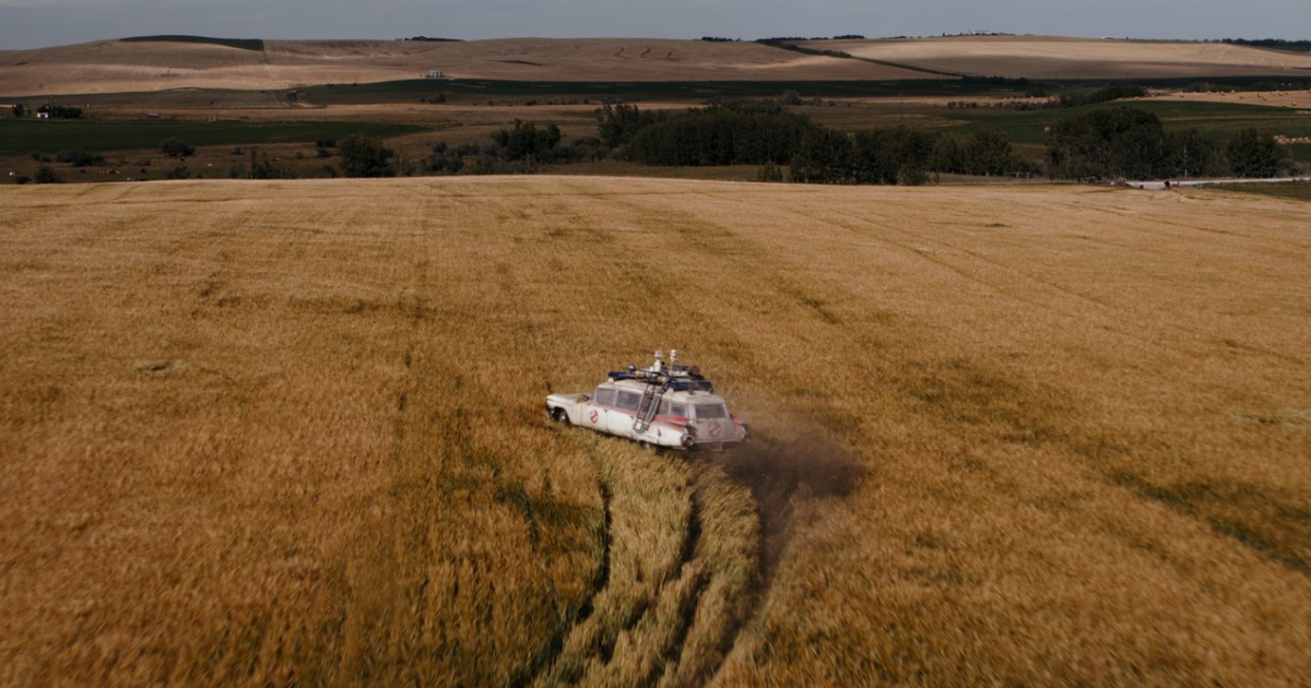 la ekto 1 sfreccia dentro un campo di grano - nerdface