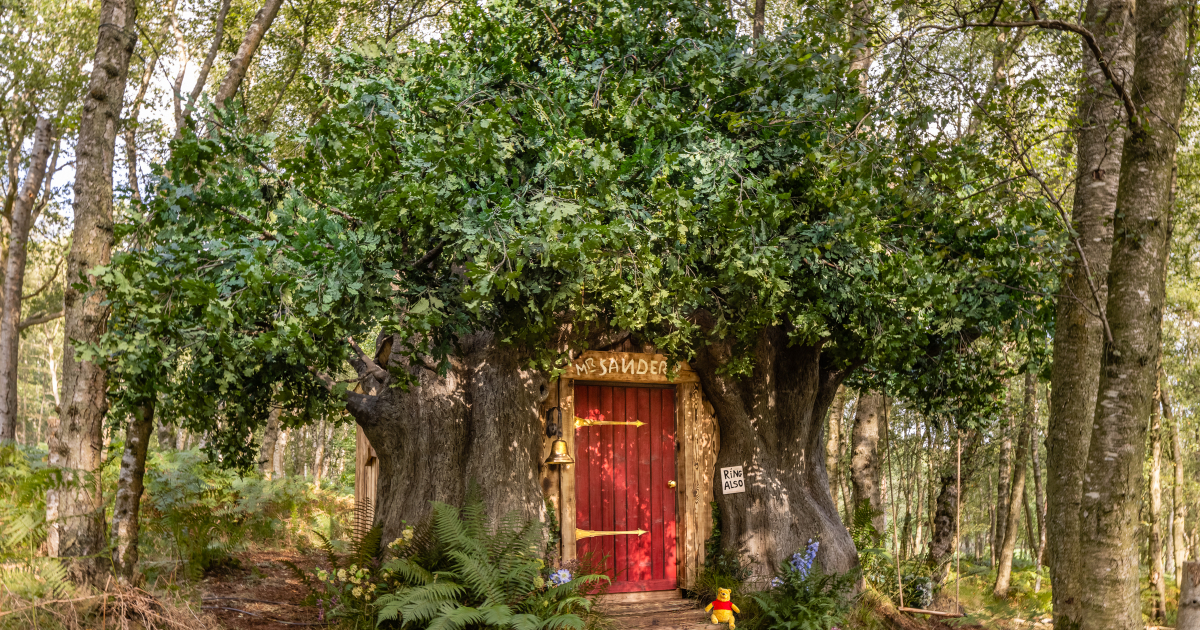 l'esterno della casa costruita nell'albero - nerdface