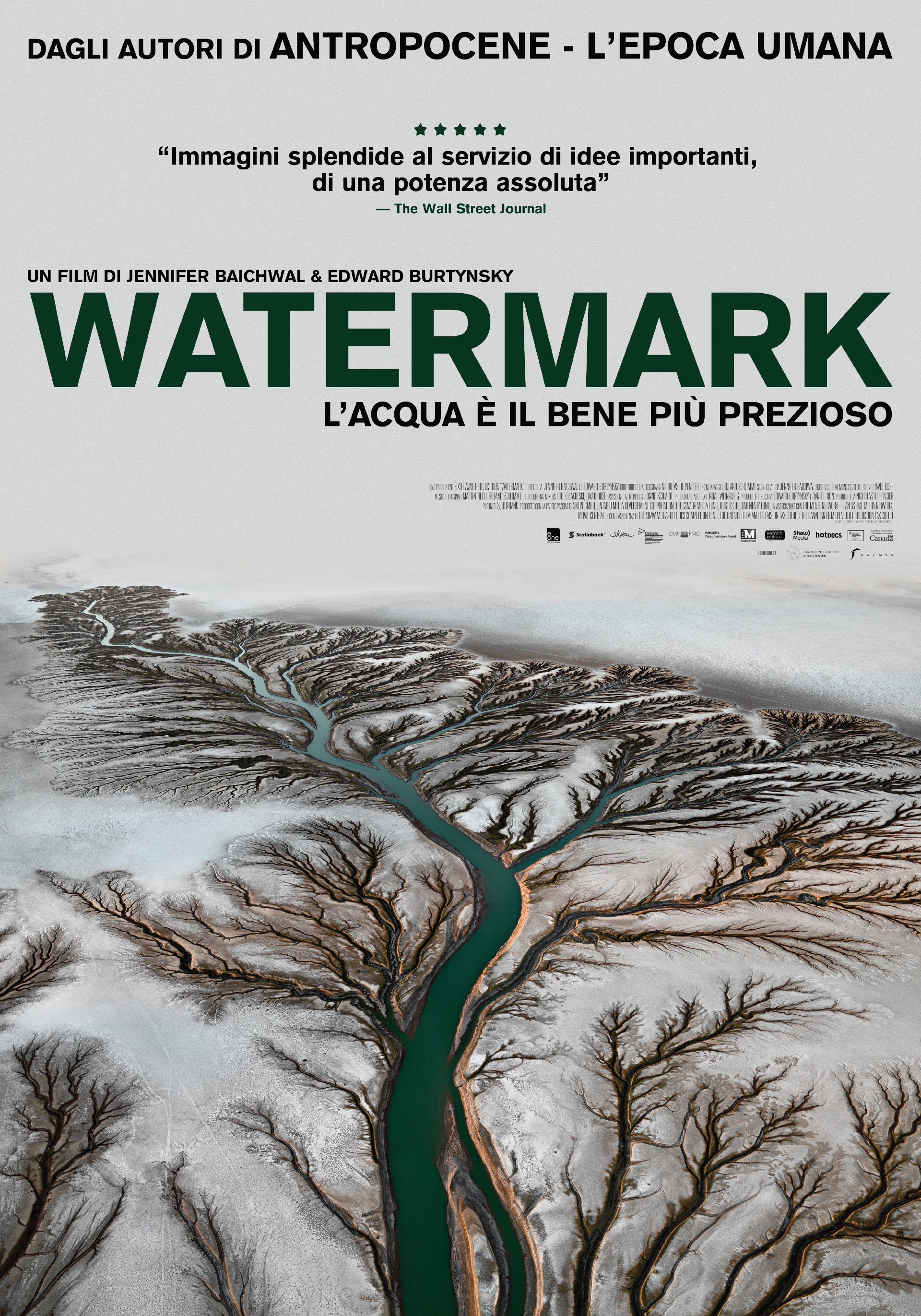 il poster ufficiale di watermark presenta un fiume dall'alto con tutti i suoi affluenti - nerdface