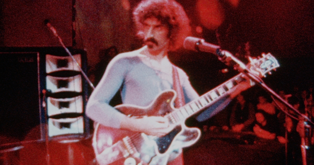 zappa sfodera una capigliatura riccia e una chitarrona mentre suona dal vivo - nerdface