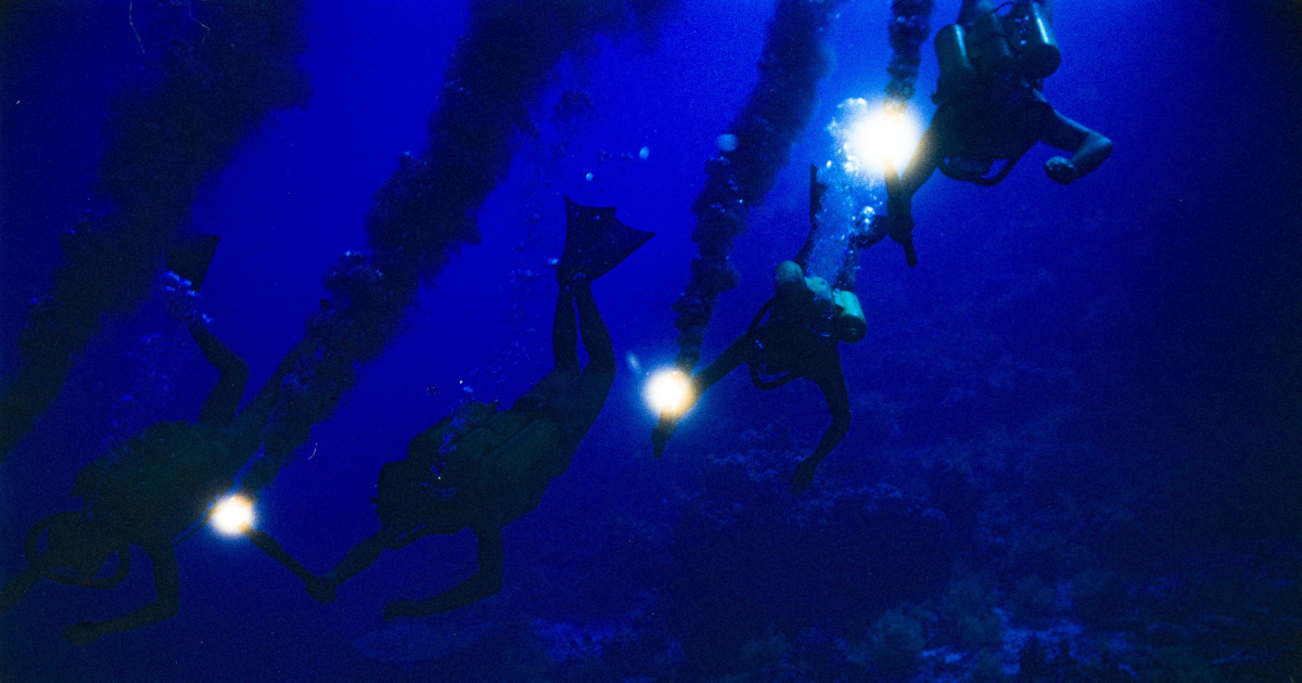 quattro sub in immersione in un mare denso e blu scuro - nerdface
