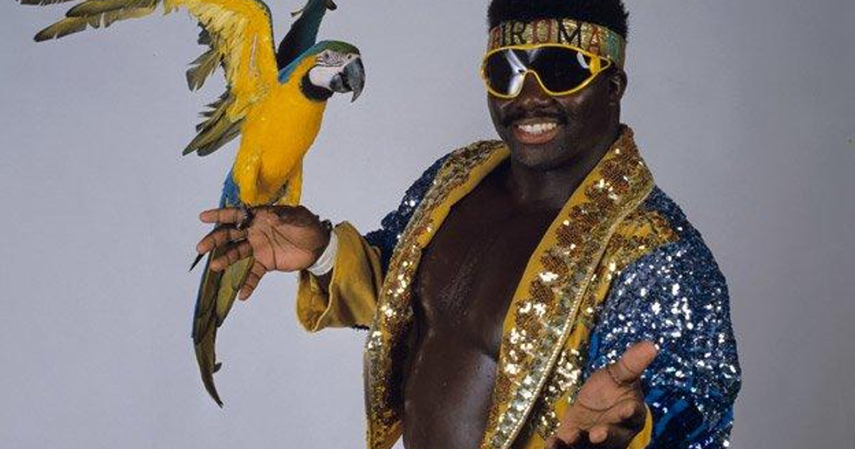 koko b. ware e il suo pappagallo prnti ad affrontare una royal rumble - nerdface