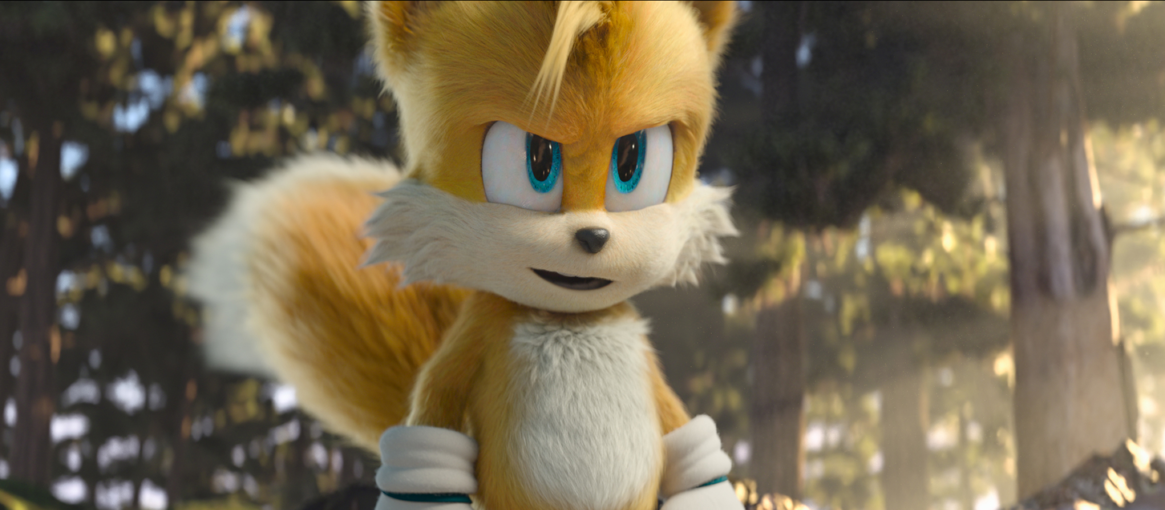 tails ha uno sguardo di sfida - nerdface