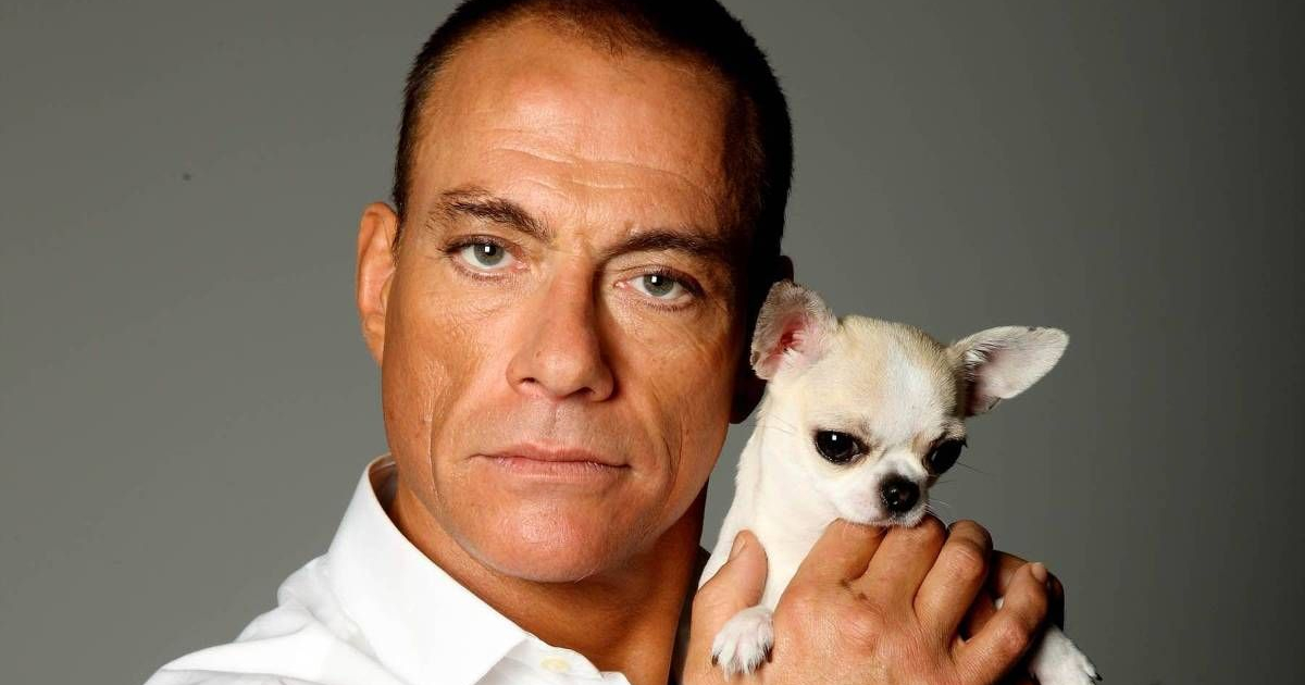 jean claude van damme tiene per le mani il suo cane - nerdface