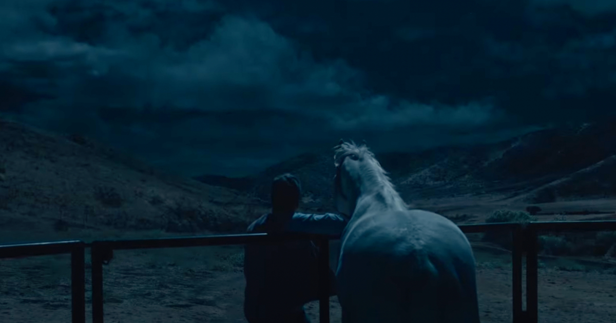 un uomo accanto al suo cavallo bianco di notte guarda il cielo: cosa sta arrivando? - nerdface