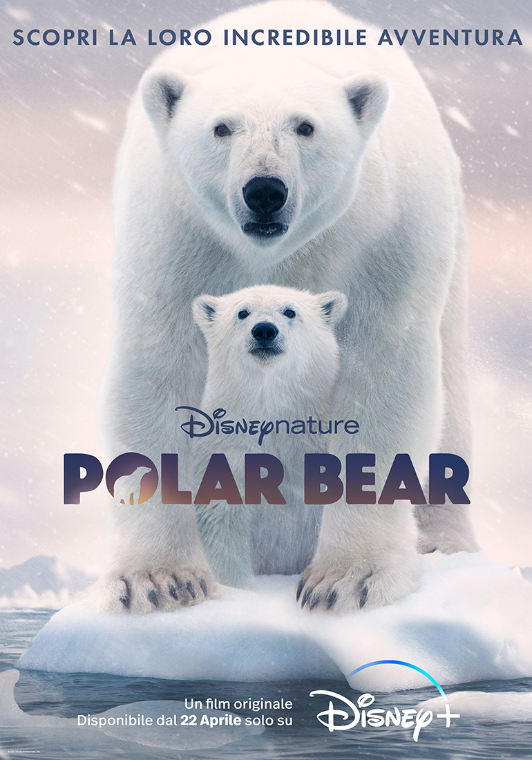 due orsi polari sono al centro del poster di polar bear - nerdface