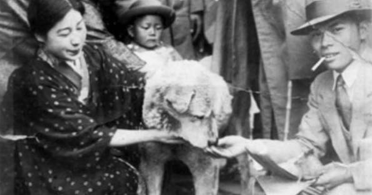 un uomo e una donna danno da mangiare a hachiko - nerdface