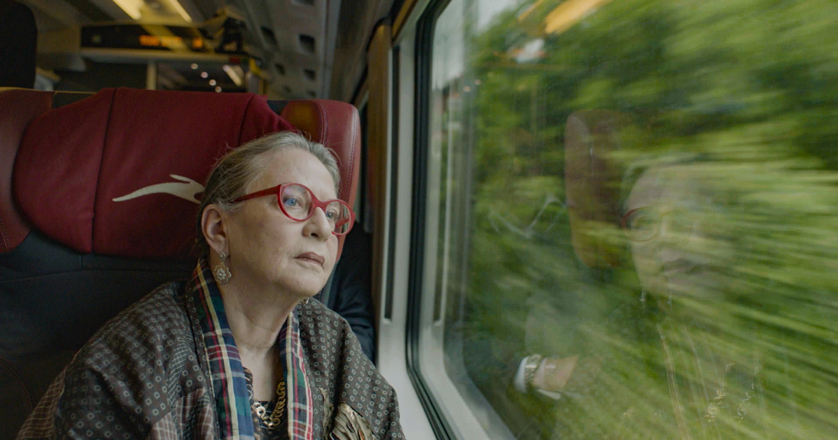 una donna sta guardabdo il panorama dal finestrino di un treno - nerdface