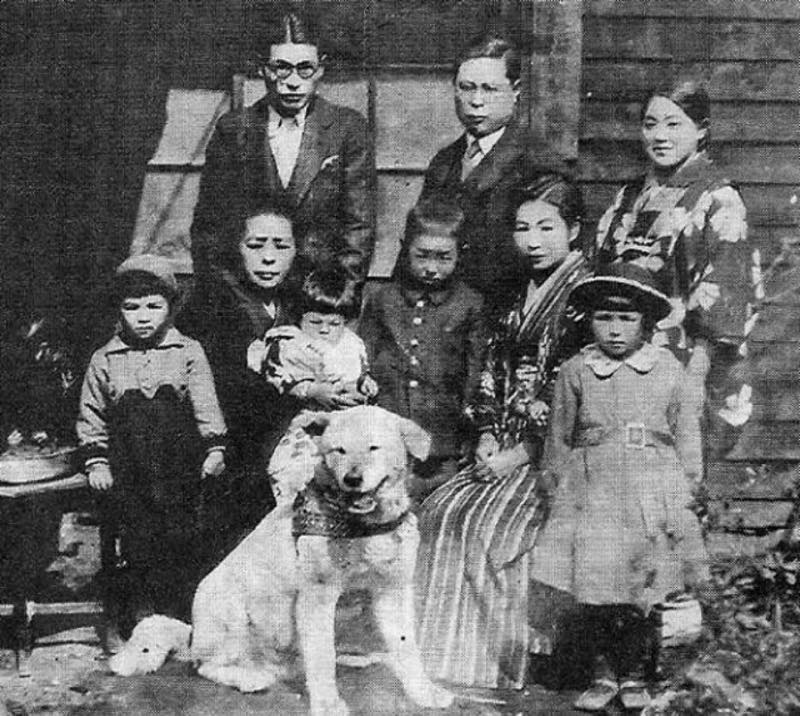 hachiko è insieme alla sua famiglia - nerdface