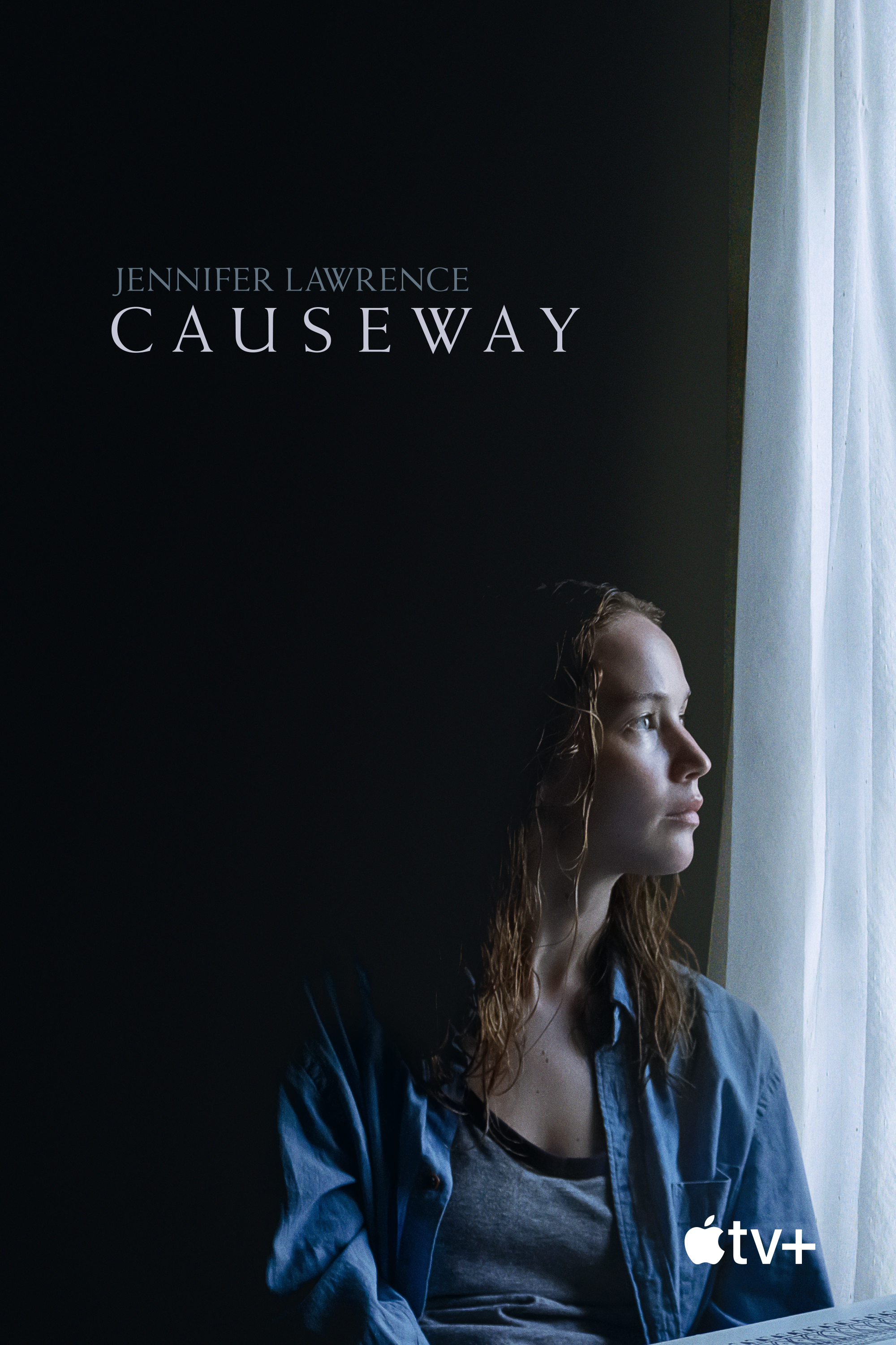 il poster di causeway - nerdface