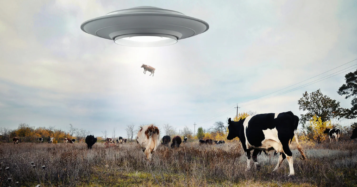 in alieni e alienati una mucca è catturata da un disco volante - nerdface