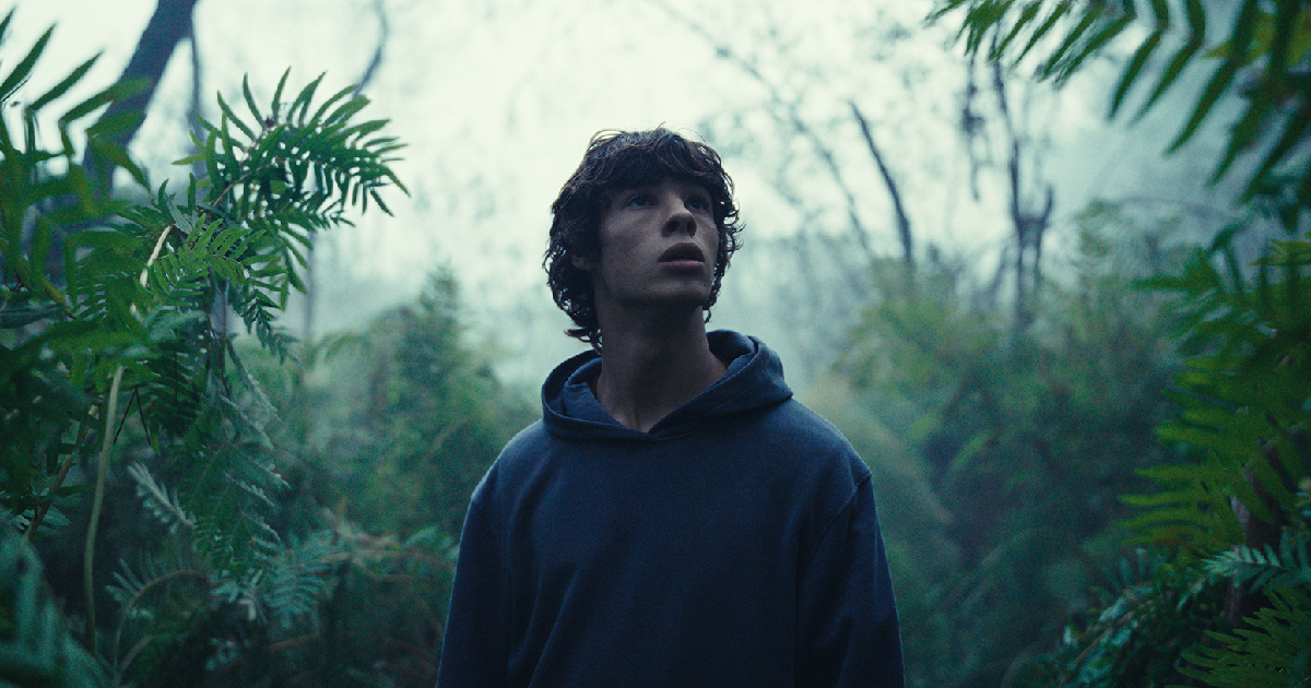 il giovane protagonista di the animal kingdom si aggira in una giungla - nerdface