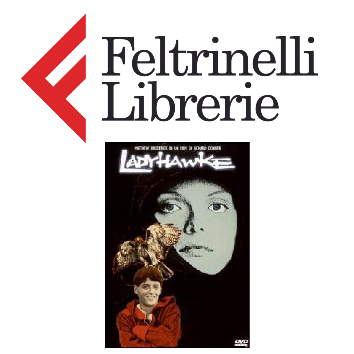 lo shop feltrinelli dove acquistare il dvd di ladyhawke - nerdface