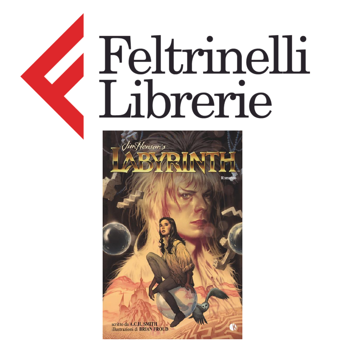 lo shop feltrinelli dove acquistare il libro labyrinth - nerdface