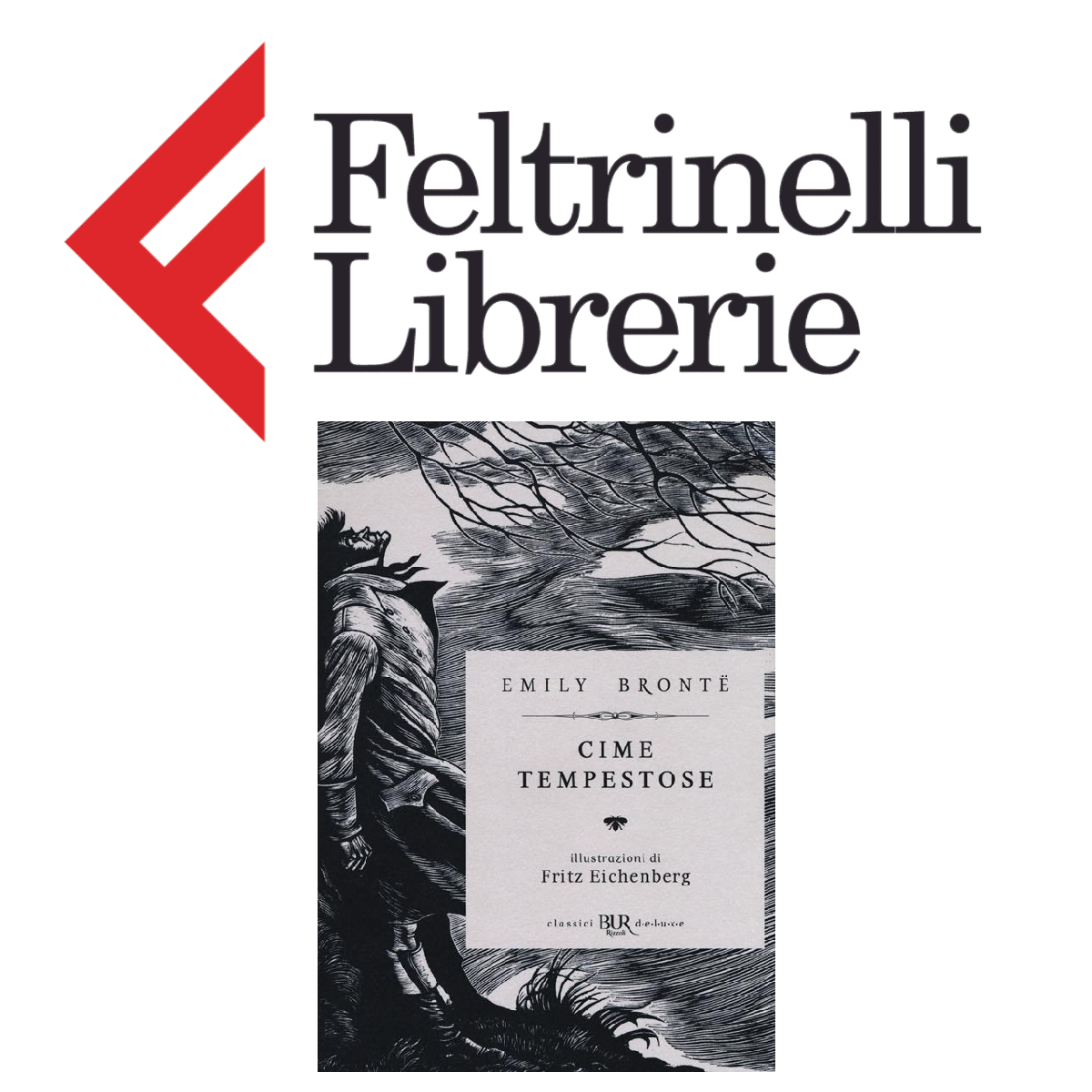 lo shop feltrinelli dove acquistare il romanzo cime tempestose - nerdface