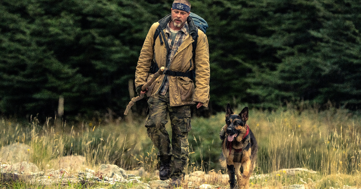 brad pitt e il cane odino nel trailer di heart of the beast - nerdface